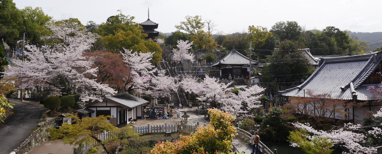 Kyoto13 e1695038390221