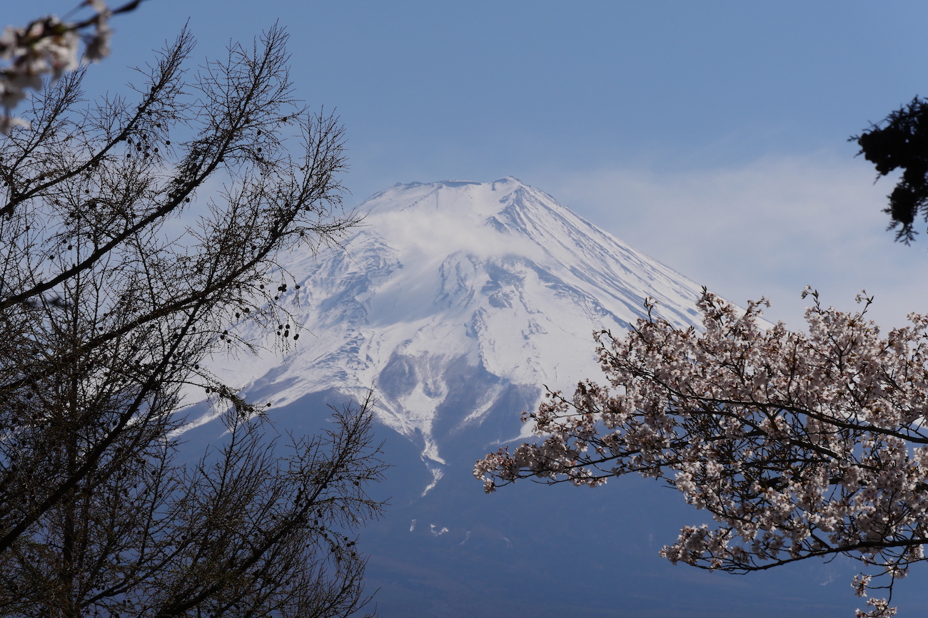 fuji2