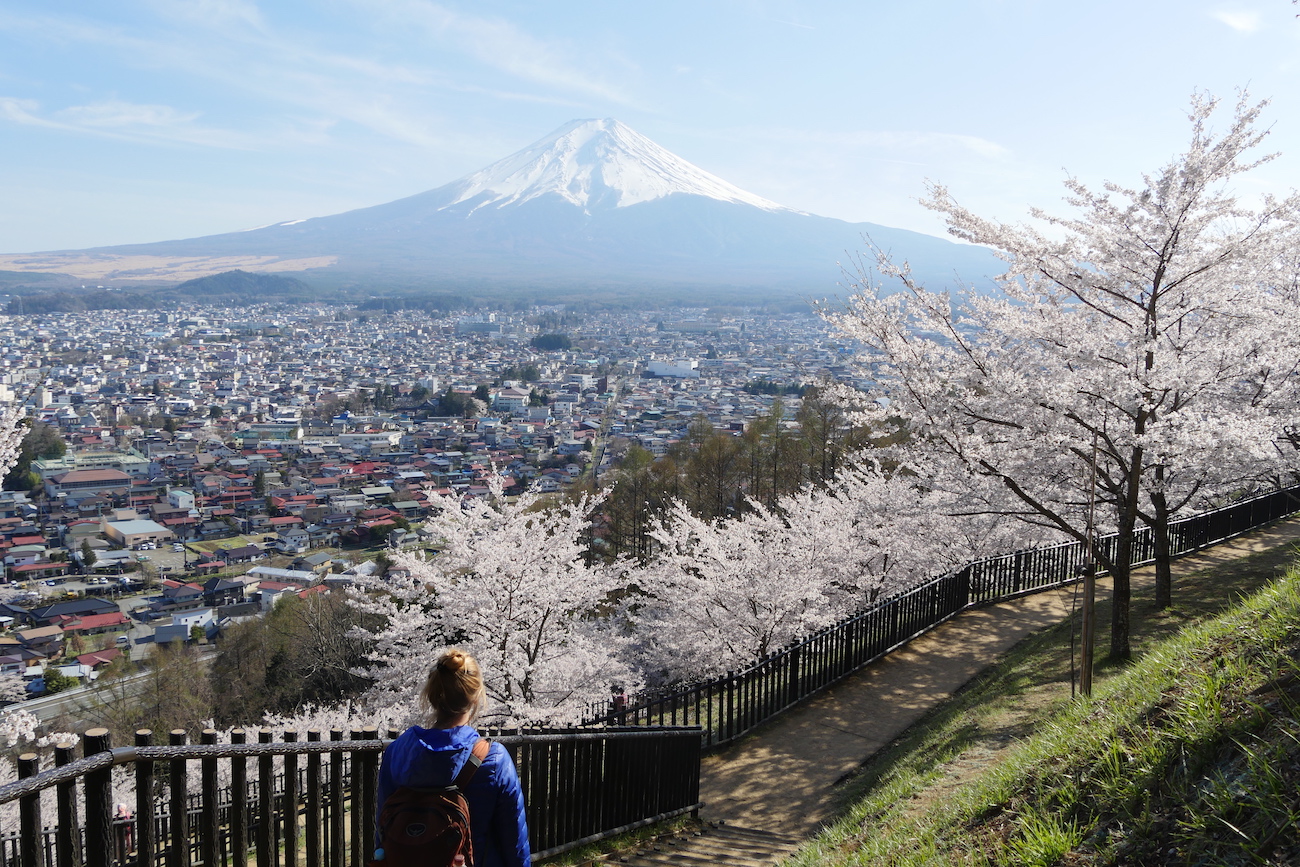 fuji3