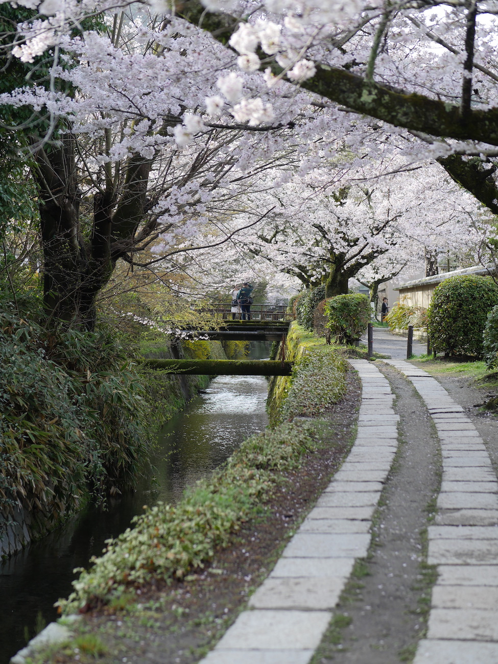 kyoto2