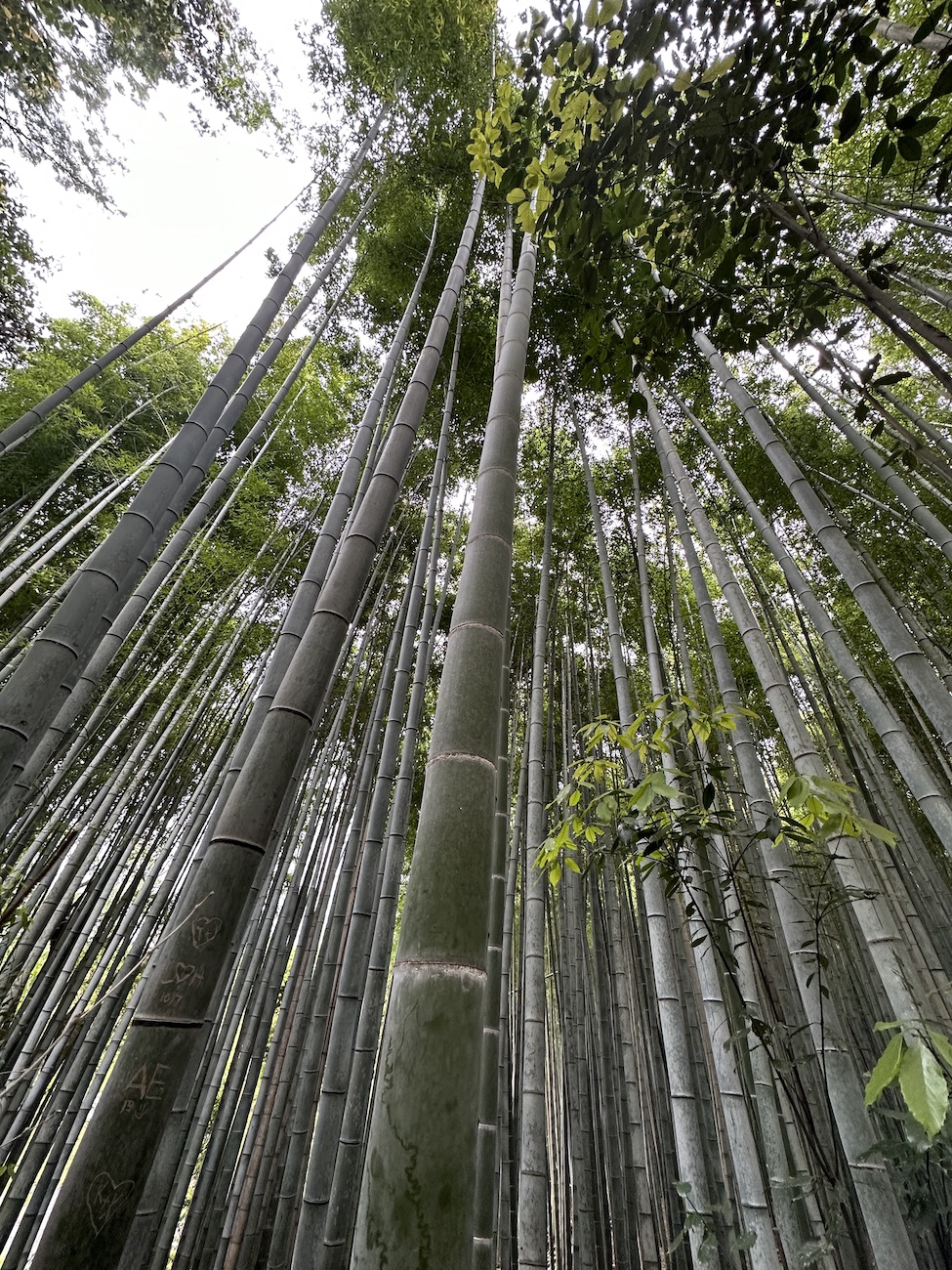 kyoto27