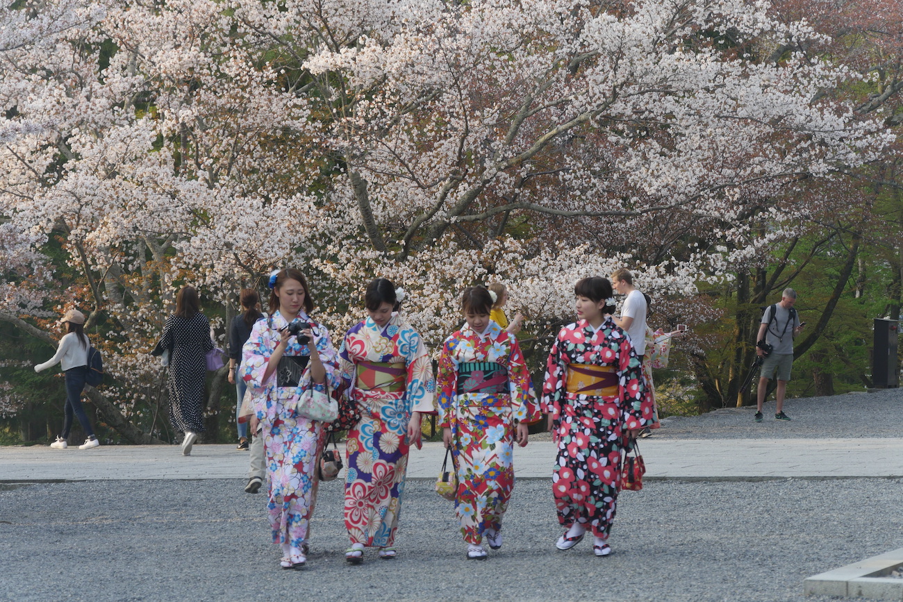 kyoto29