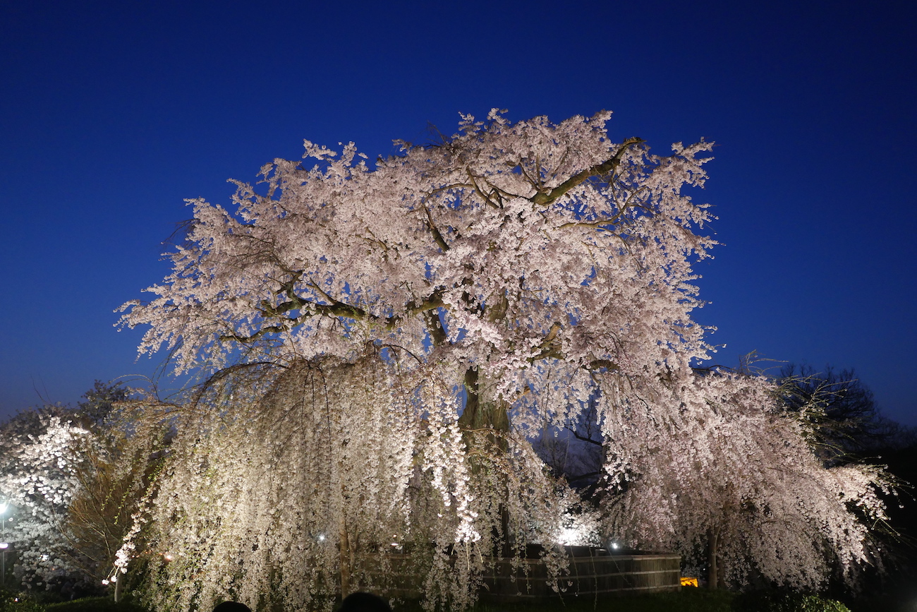 kyoto52