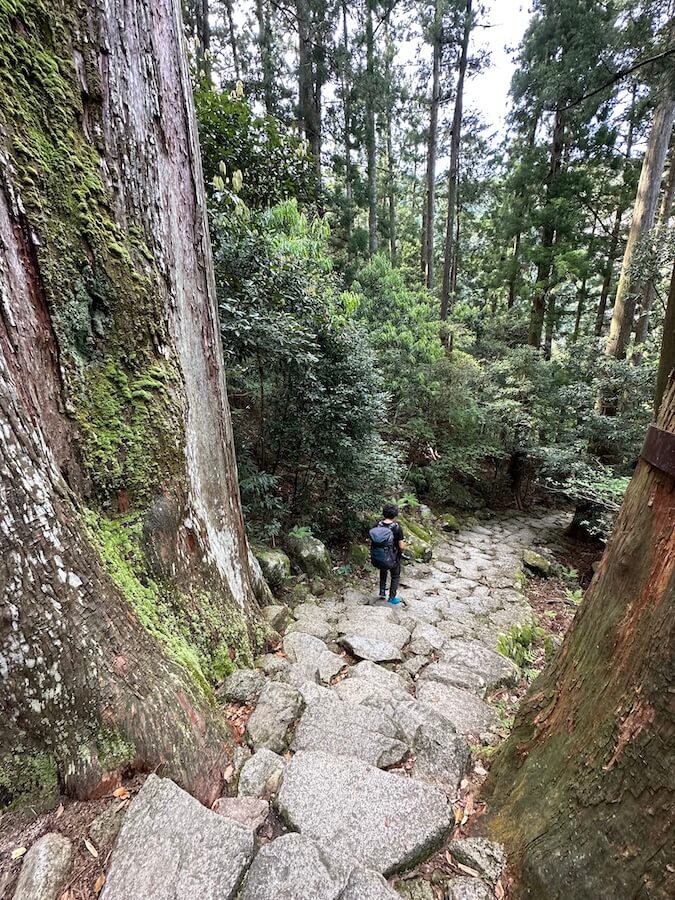 kumano25