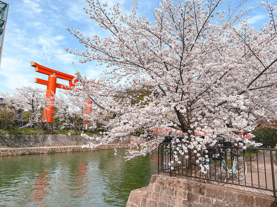 kyoto58
