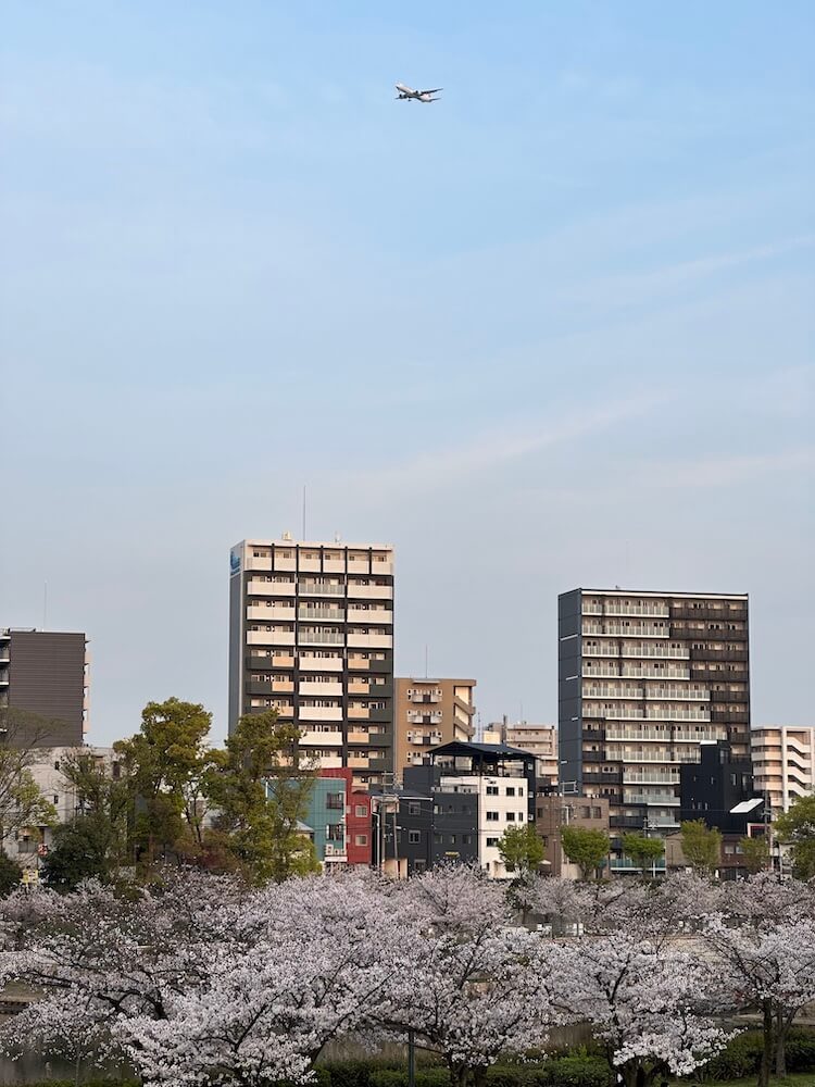 osaka26 1