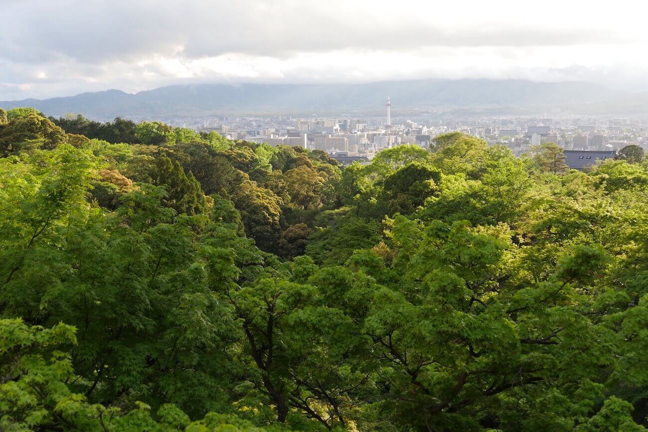 Kyoto22