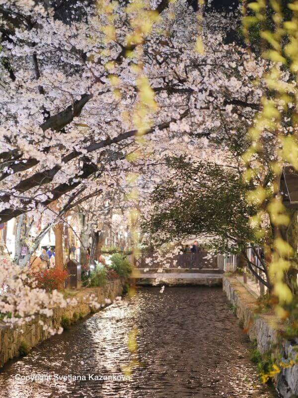 Nanzen ji. Kyoto