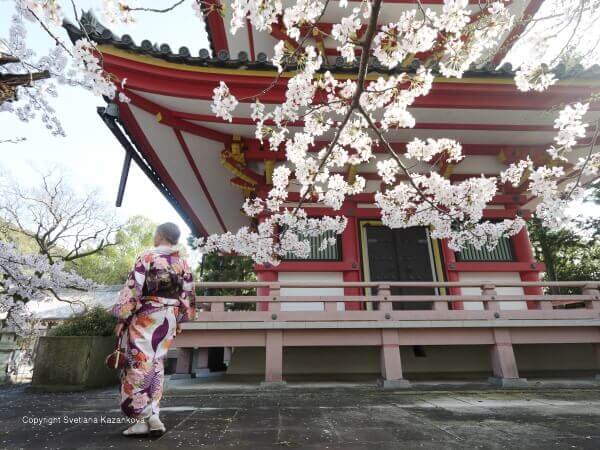 Kyoto kimono
